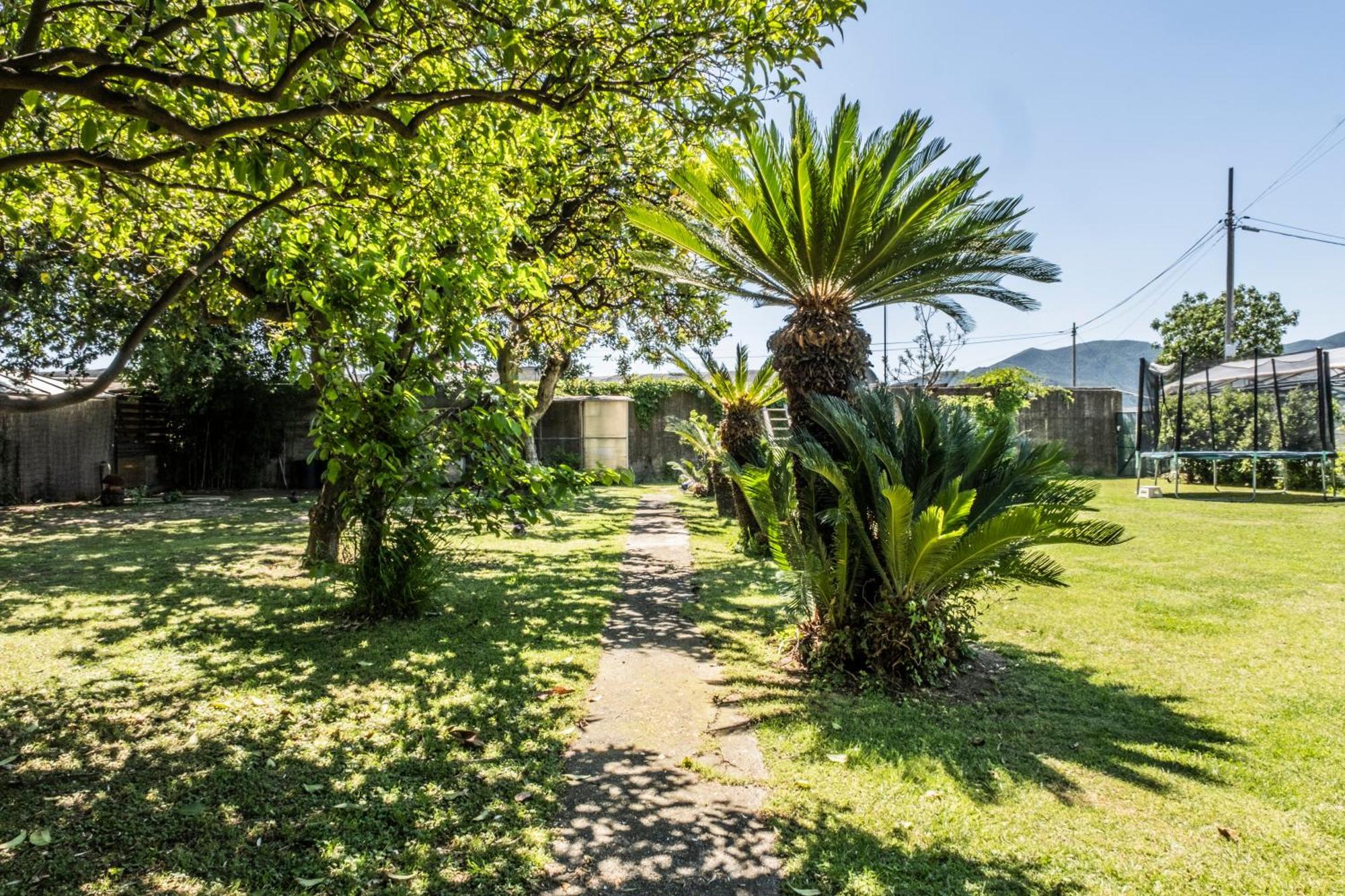 Agriturismo Giorgi Appartamenti In Riviera Ligure Albenga Buitenkant foto